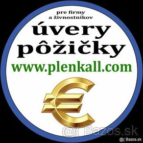 Finančný servis pre podnikateľov - 4