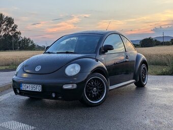VW New Beetle - 4