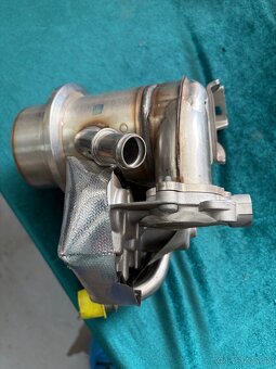 Egerko - 4