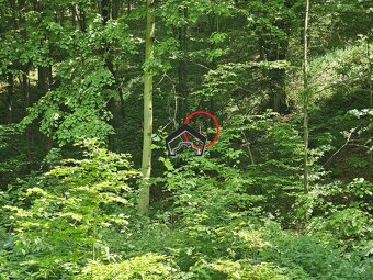 Záhrada vo Zvolene - 4