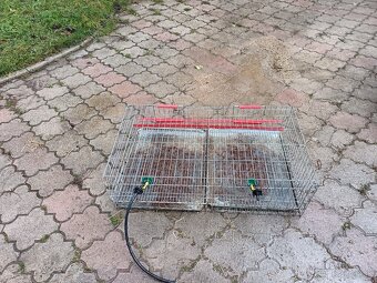 klietky na zakrslé zajace a prepelice - 4