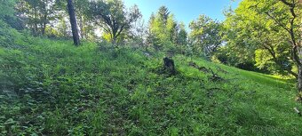 Pozemok v obci Remetské Hámre - 4