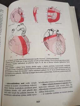 Predám knihu Fyziológia človeka - 4