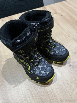 Alpine pro - 4