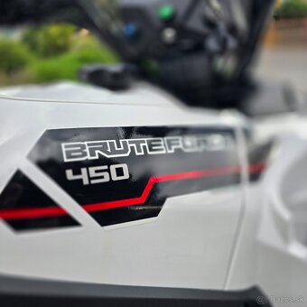Kawasaki Brute Force 450 - 4
