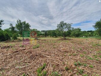 Predaj pozemky 7998 m2, Nitra- Čermáň, šírka 37m, všetky IS - 4