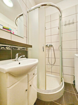 Prenájom 1-izbového bytu – Centrum - 4