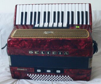 Akordeón - 4