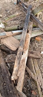 Darujem drevo za odvoz - 4