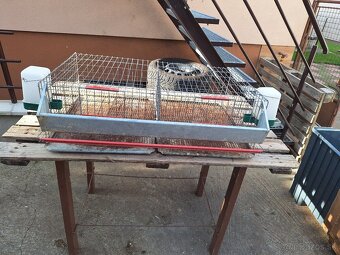 Klietka pre prepelice - 4