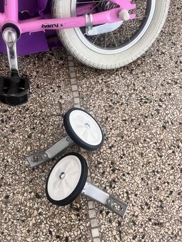 Harry Lolly 12” - 4