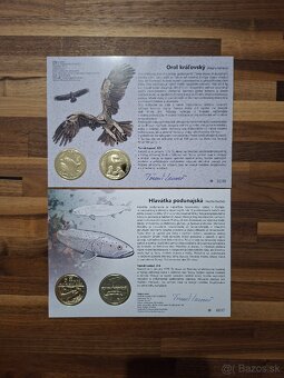 5 euro 2021-2025 - 4