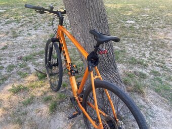 Trek Dual Sport 3 L - 4