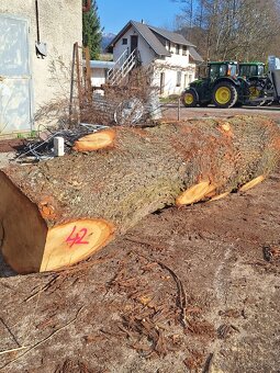 Dubová rustikálna guľatina - 4