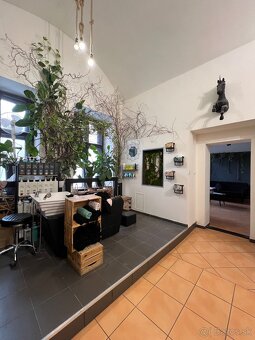 Priestor na prenájom kaderníctva na Hlavnej ulici vo dvore - - 4