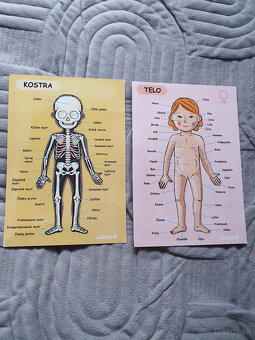 Magnetická skladačka - ľudské telo - 4