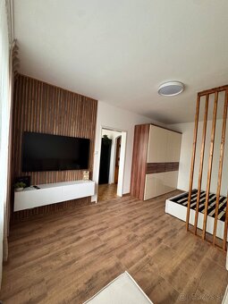 Veľký 1 izbový byt Podbreziny - 4