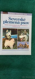 Severské plemená psov, Správna výživa, Pes - 4