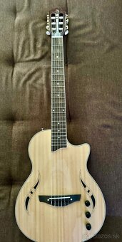 Harley Benton Custom Line Nashville Bundle - 4