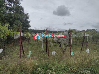 Predaj, rekreačný pozemok-Kozárovce/Staré vinice - 4