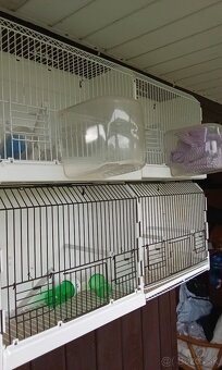 Výstavné klietky - 4