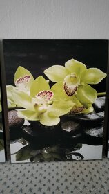 Predám 3 obraz s motívom orchidea - 4