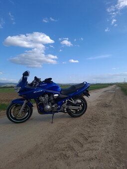 Suzuki Bandit - 4