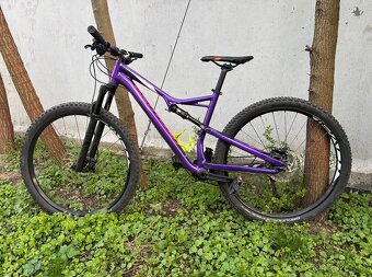 Specialized Stumpjumper - 4