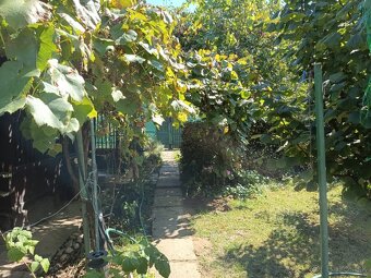 Zahrada v zahradkarskej osade v Sali - 4