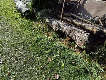 Predaj Orechové drevo - 4