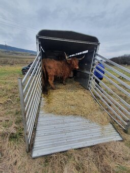 Preprava zvierat - 4