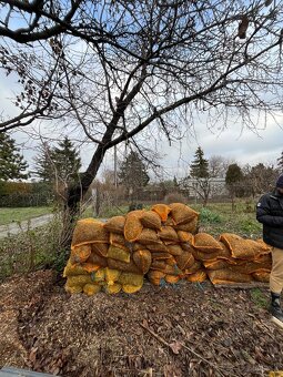 Arboristika, záhradnícke práce - 4