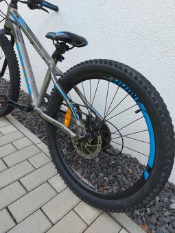 Kellys Marc 70 - 4