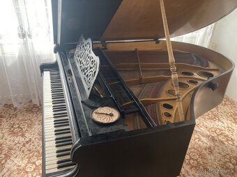 Pallik & Stiasny Piano - 4