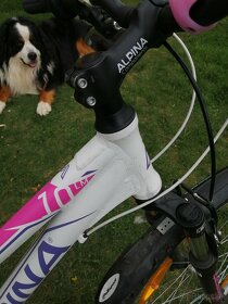 Dámsky, dievčenský bicykel ALPINA S ram - 4
