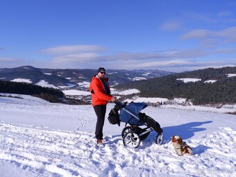 Thule Urban Glide2 - 4
