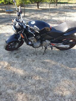 Honda hornet - 4