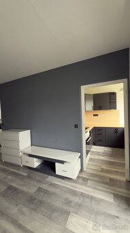 Ponúkam zariadený 1 izbový byt na prenájom - 4