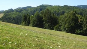 Pozemok na predaj 5 eur m2 Ski Park Desna - 4