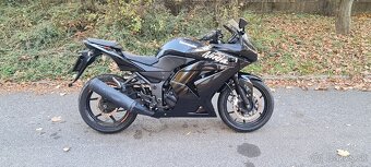 Kawasaki 250 ninja - 4
