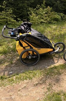 Thule Charliot Sport 2 - 4
