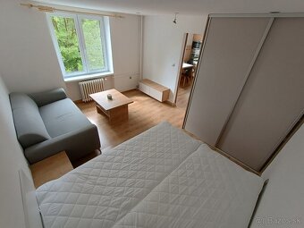 1 izb. byt prenájom - Nová Dubnica - 4