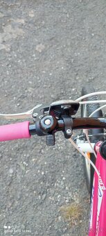 Detský bicykel 20 - 4