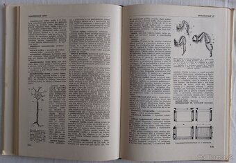 Včelársky náučný slovník - Ján Milla - 4