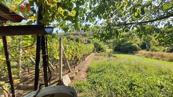 AD REALITY - VINICA - Trnava pri Laborci - 4