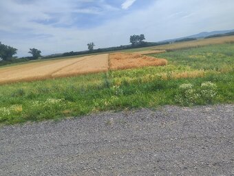 Zaujímavá investičná príležitosť - 4