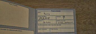 Darujem dvoch kocúrkov - 4