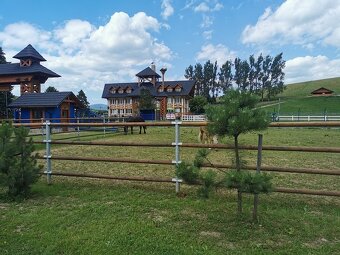 frézovaná guľatina, drevené koly, hranoly - 4