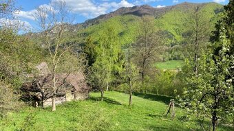 Pozemok 1336 m² s chatou (43 m²) v krásnom prostredí - 4