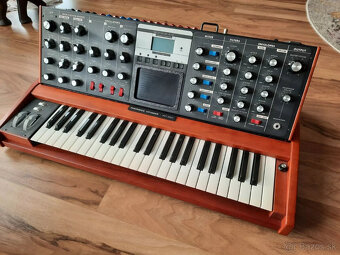 Minimoog Voyager Lunar Cherry, použitý, dobrý stav - 4